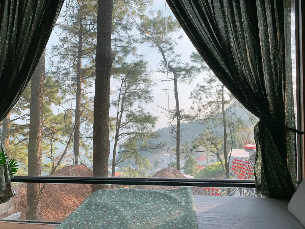 Nhà trên cây - Nhà 1 gian (không bồn tắm) 3