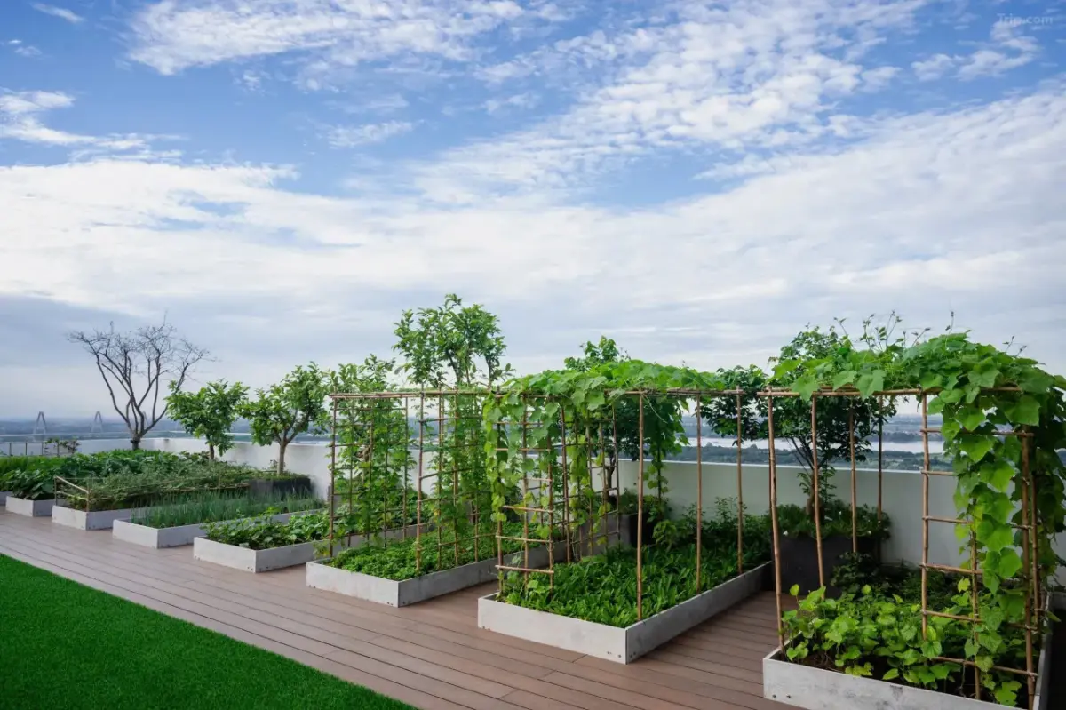 Somerset West Point Hà Nội Hotel 1