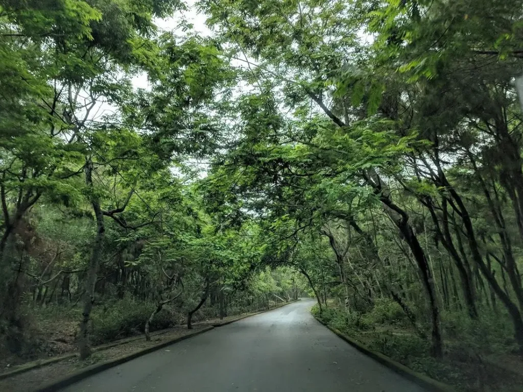 duong len nui truong le sam son 2