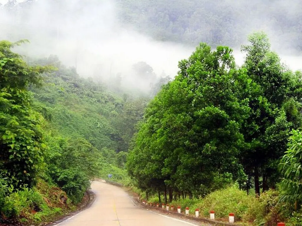 duong len nui truong le sam son