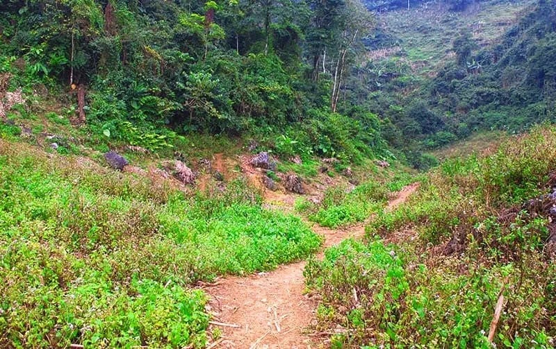 duong vao ngu dong ban on