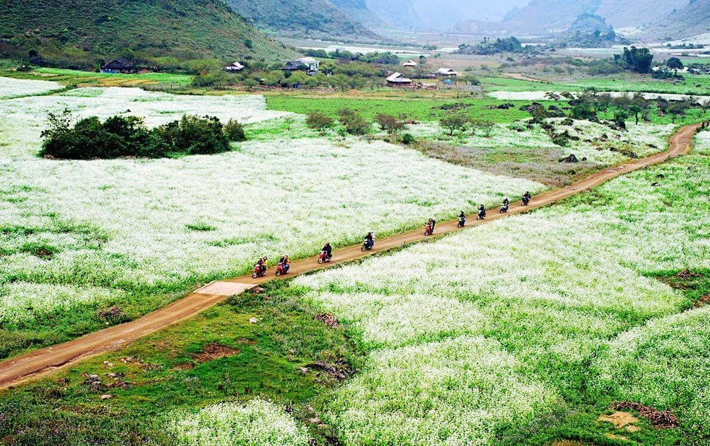 kham pha ngu dong ban on 2