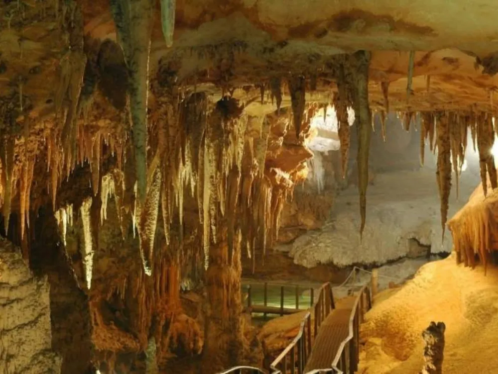 Ngũ Động Bản Ôn