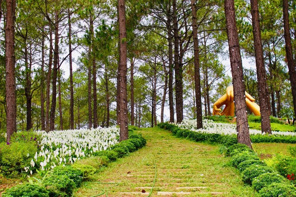 review rung thong ban ang