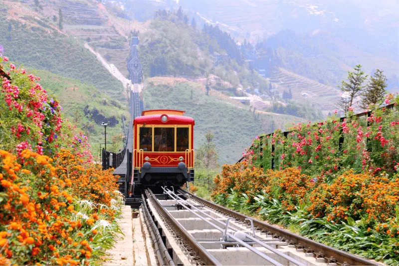 tau hoa leo nui muong hoa 3