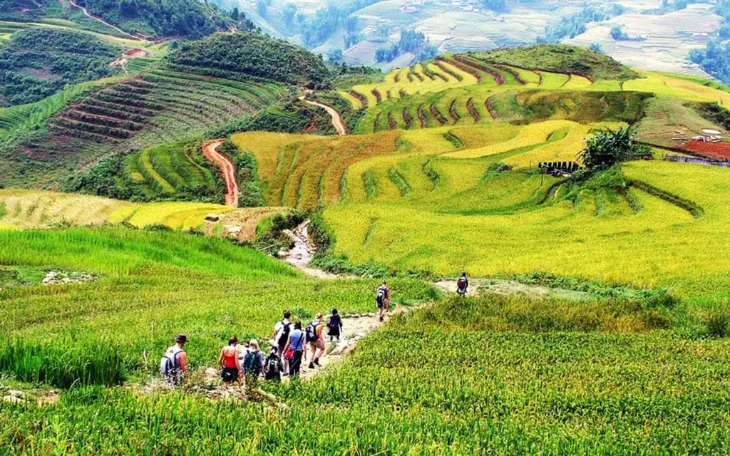 thung lung hoa sapa trekking