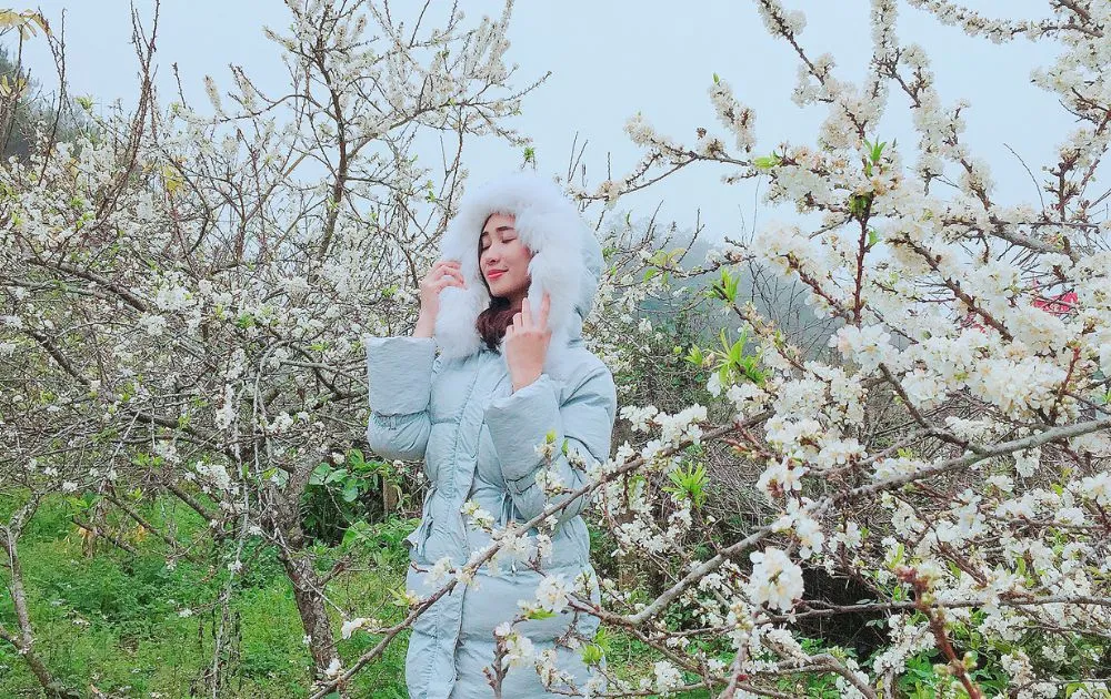 Thung lũng Mận Nà Ka