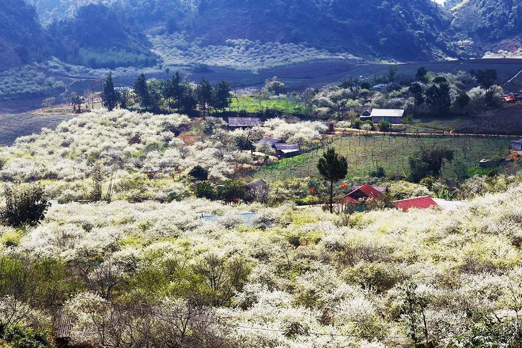 thung lung man na ka dep