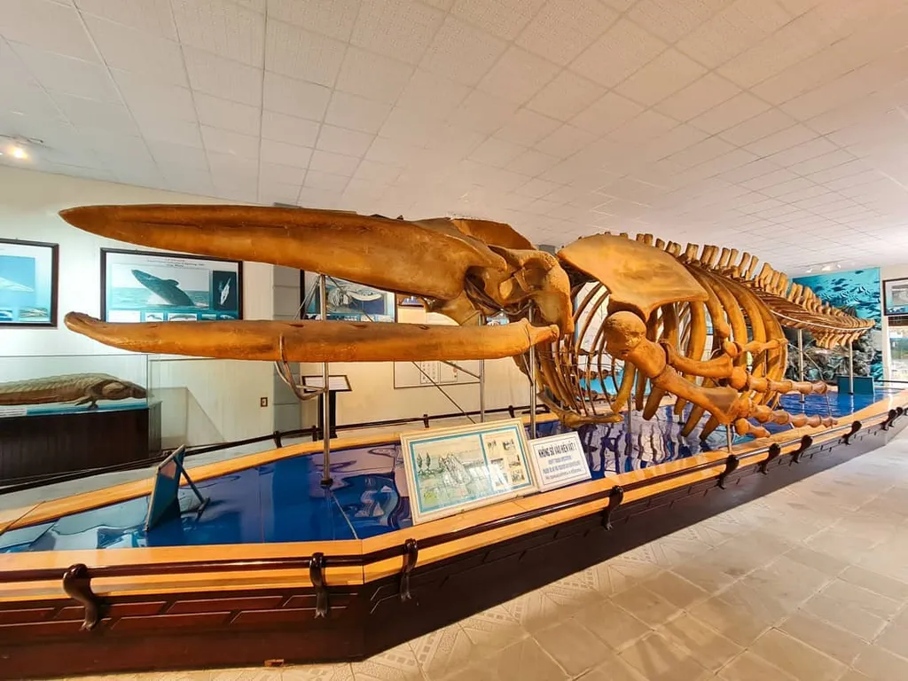 vien hai duong hoc nha trang 1