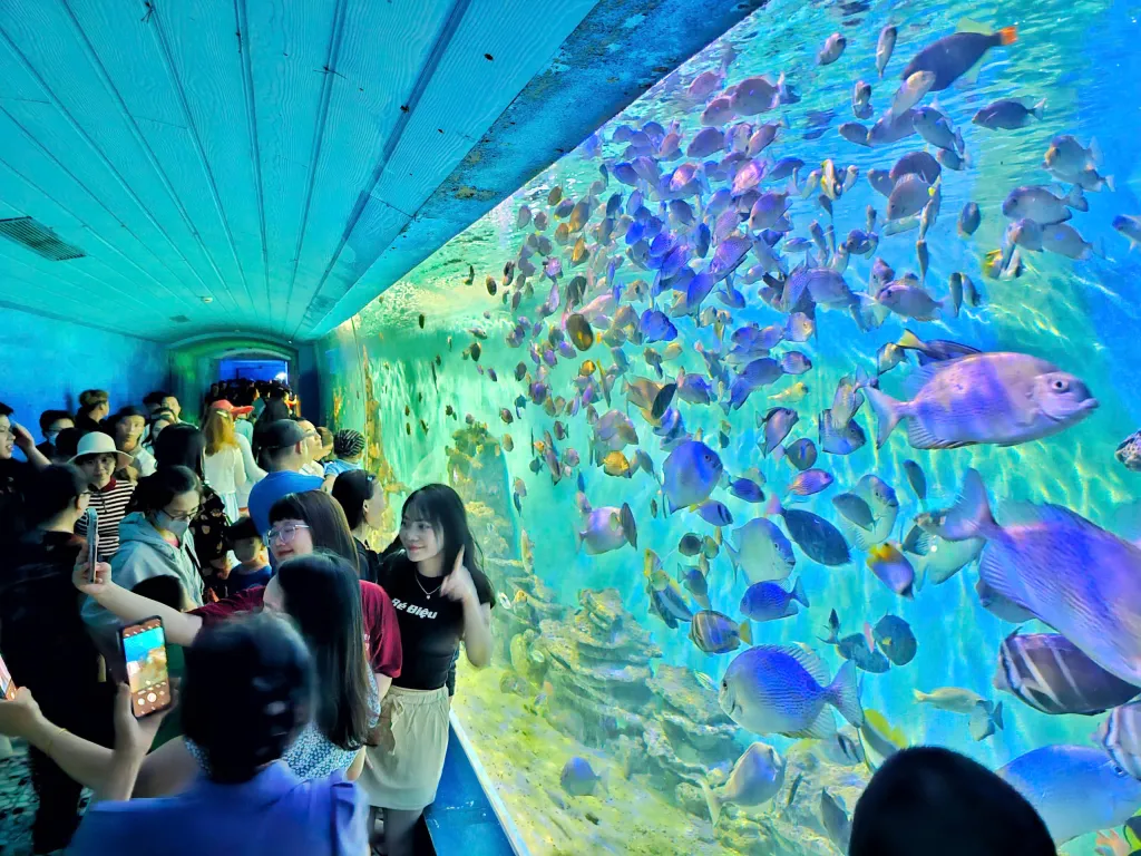 vien hai duong hoc nha trang 3