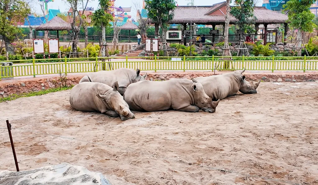 Review Vinwonders Vu Yen Hai Phong 2026 Gia Ve 11