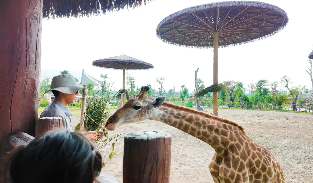 Review Vinwonders Vu Yen Hai Phong 2026 Gia Ve 5