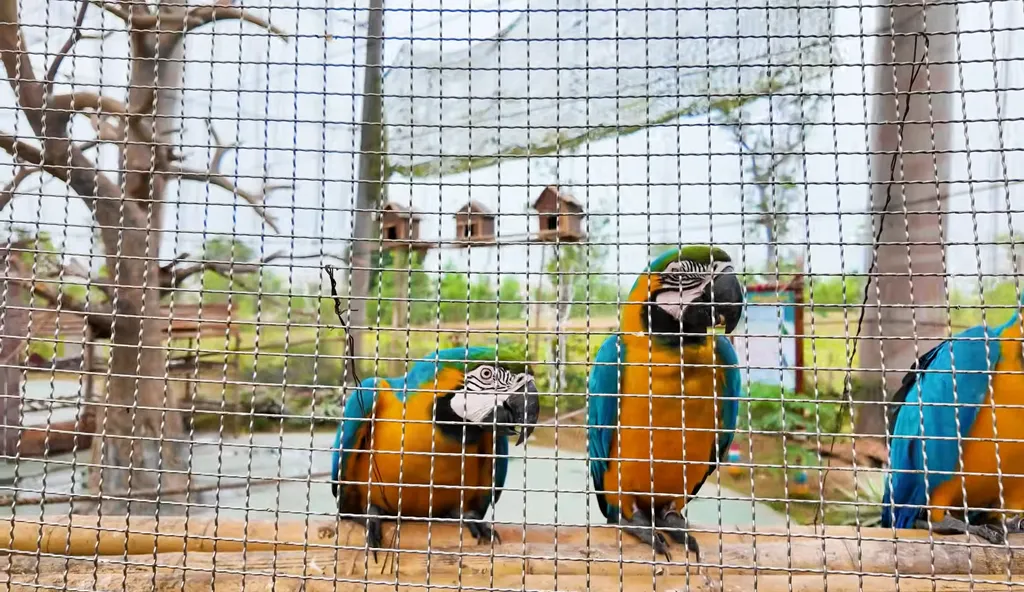 Review Vinwonders Vu Yen Hai Phong 2026 Gia Ve 9