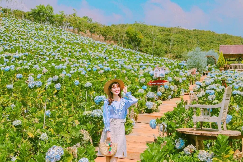 vuon hoa cam tu cau a lat 1